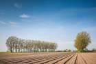 Southern Sweden-Kaseberga-plowed field-springtime Art Print